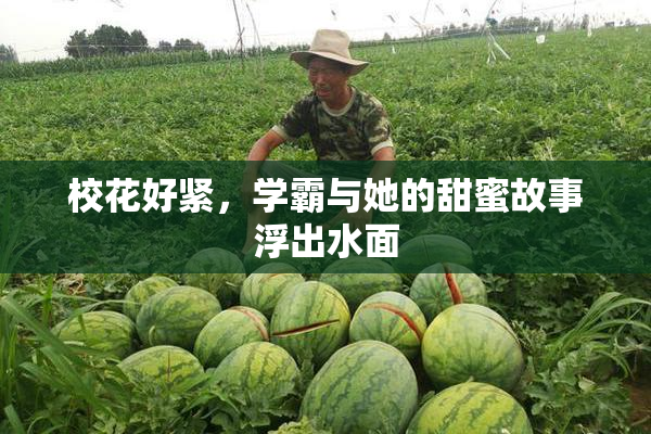 校花好紧，学霸与她的甜蜜故事浮出水面