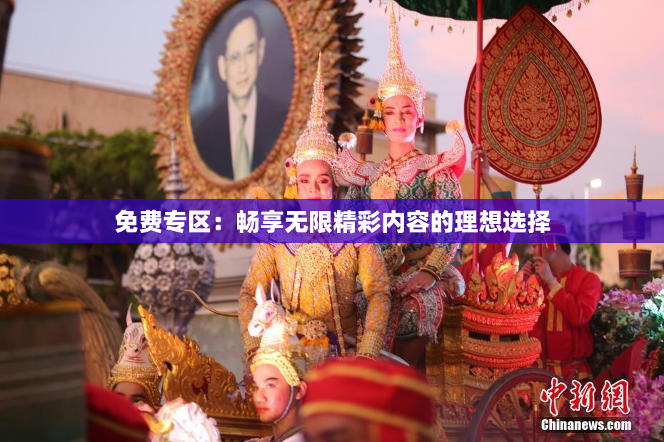 免费专区：畅享无限精彩内容的理想选择