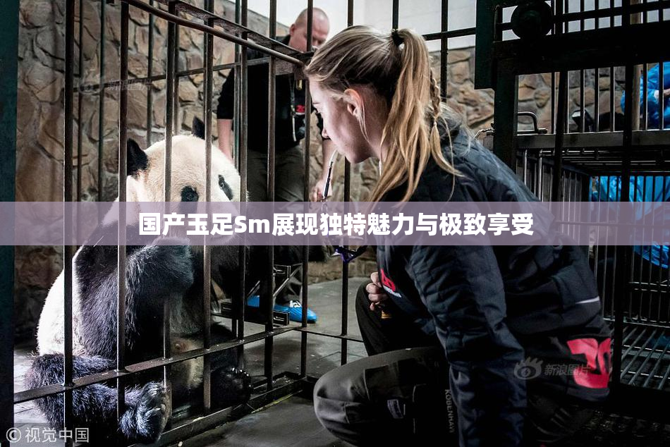 国产玉足Sm展现独特魅力与极致享受
