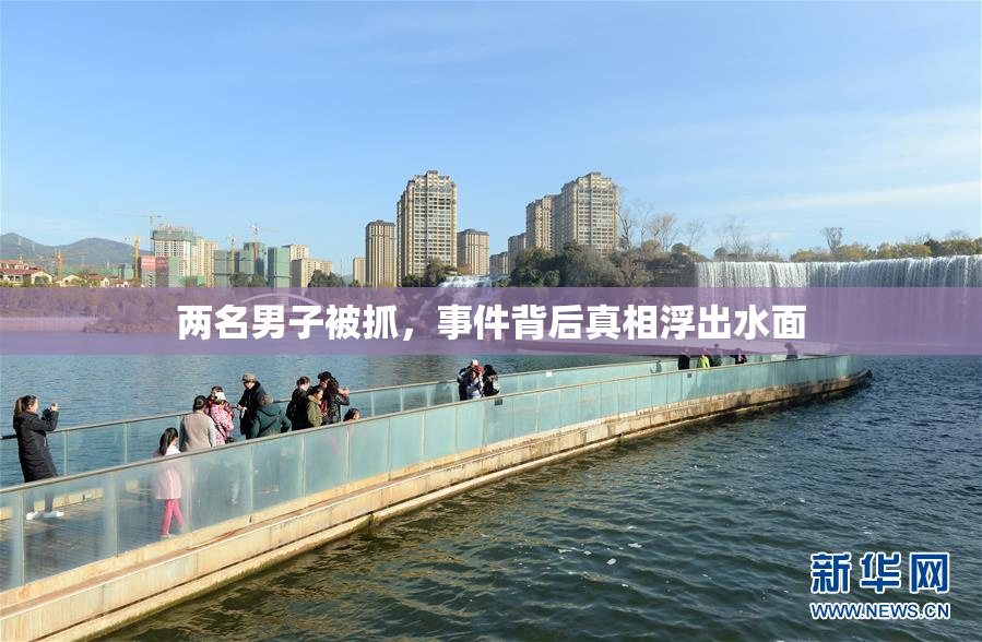 两名男子被抓，事件背后真相浮出水面