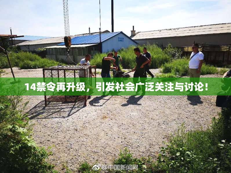 14禁令再升级，引发社会广泛关注与讨论！