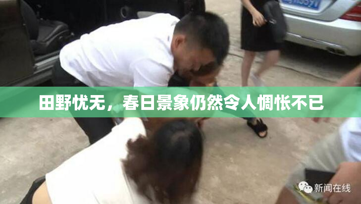田野忧无，春日景象仍然令人惆怅不已