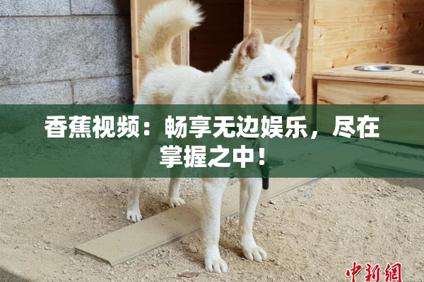 香蕉视频：畅享无边娱乐，尽在掌握之中！
