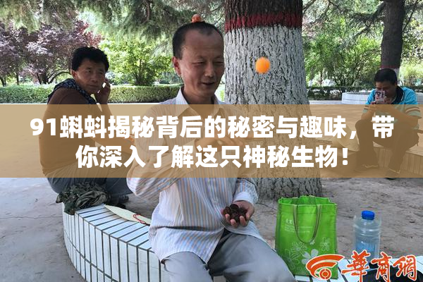91蝌蚪揭秘背后的秘密与趣味，带你深入了解这只神秘生物！