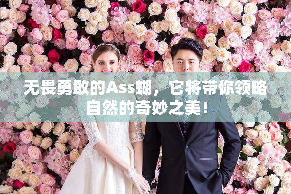 无畏勇敢的Ass蝴，它将带你领略自然的奇妙之美！
