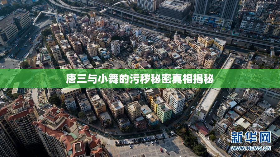 唐三与小舞的污秽秘密真相揭秘