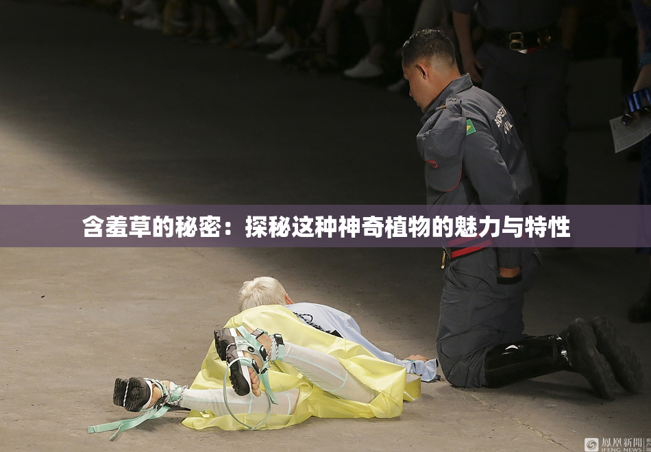 含羞草的秘密：探秘这种神奇植物的魅力与特性