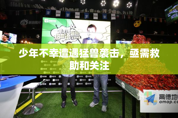 少年不幸遭遇猛兽袭击，亟需救助和关注