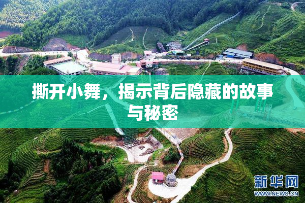 撕开小舞，揭示背后隐藏的故事与秘密