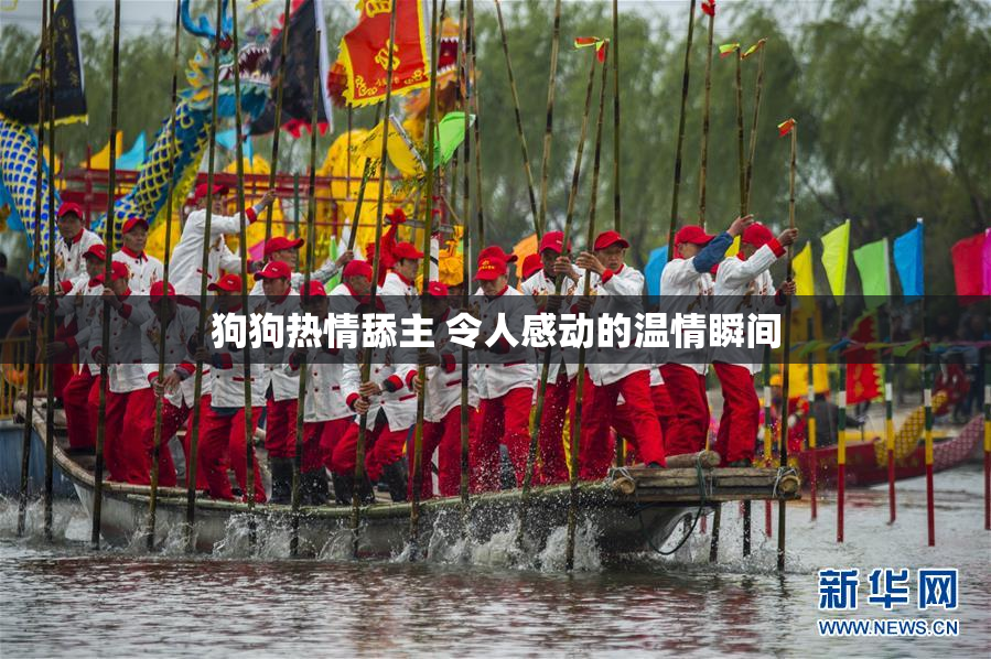 狗狗热情舔主 令人感动的温情瞬间