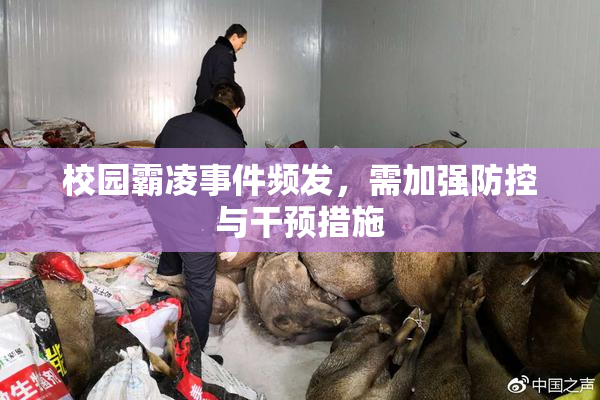 校园霸凌事件频发，需加强防控与干预措施