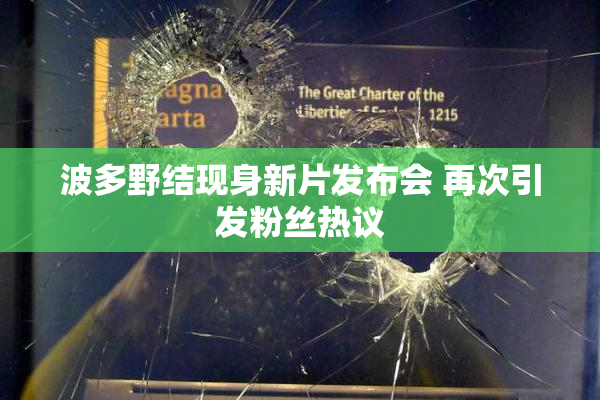 波多野结现身新片发布会 再次引发粉丝热议