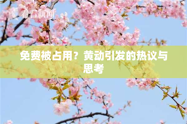 免费被占用？黄动引发的热议与思考