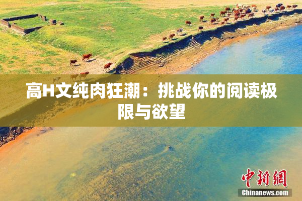 高H文纯肉狂潮：挑战你的阅读极限与欲望