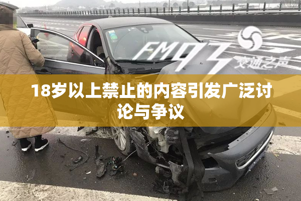 18岁以上禁止的内容引发广泛讨论与争议