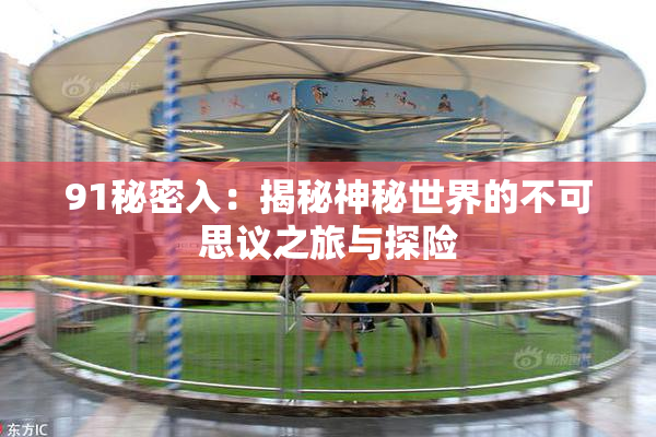 91秘密入：揭秘神秘世界的不可思议之旅与探险