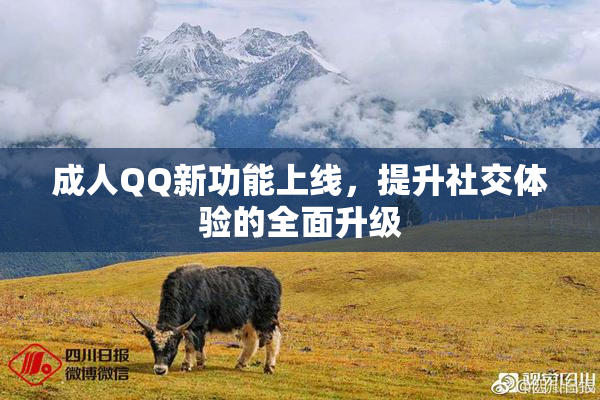 成人QQ新功能上线，提升社交体验的全面升级