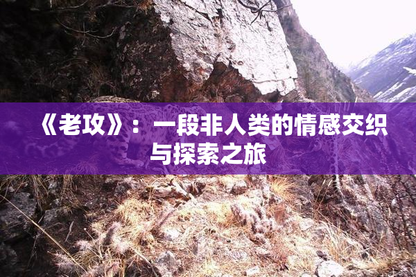 《老攻》：一段非人类的情感交织与探索之旅