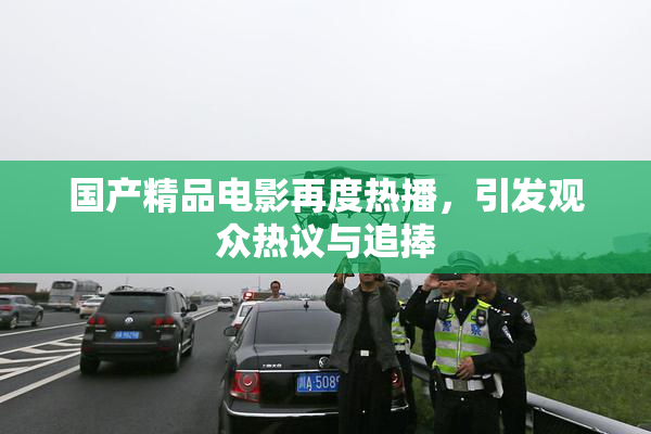 国产精品电影再度热播，引发观众热议与追捧