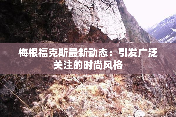 梅根福克斯最新动态：引发广泛关注的时尚风格