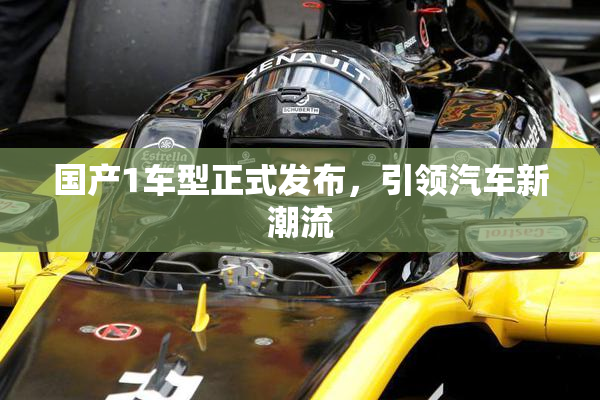 国产1车型正式发布，引领汽车新潮流