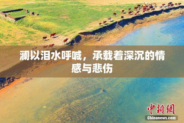 澜以泪水呼喊，承载着深沉的情感与悲伤