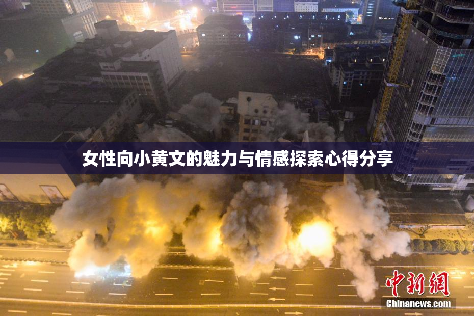 女性向小黄文的魅力与情感探索心得分享