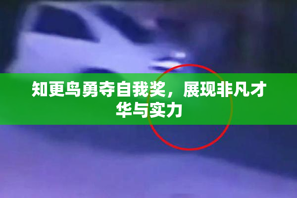 知更鸟勇夺自我奖，展现非凡才华与实力