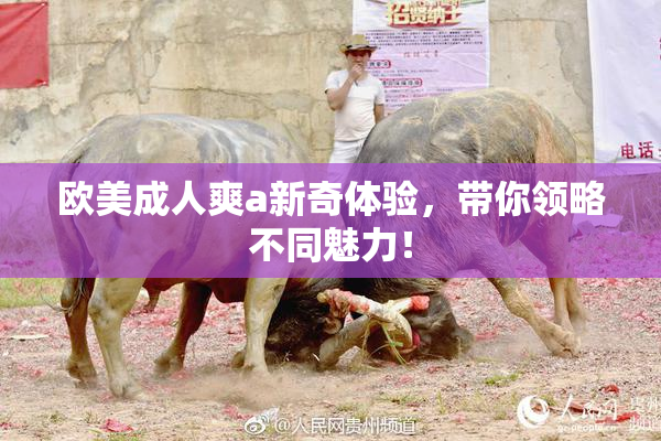 欧美成人爽a新奇体验，带你领略不同魅力！