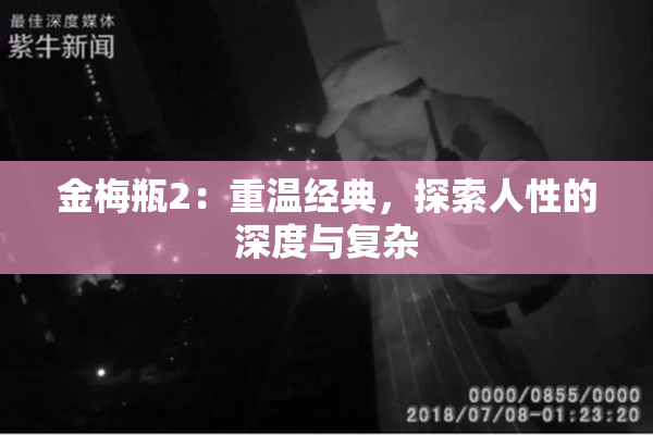 金梅瓶2：重温经典，探索人性的深度与复杂