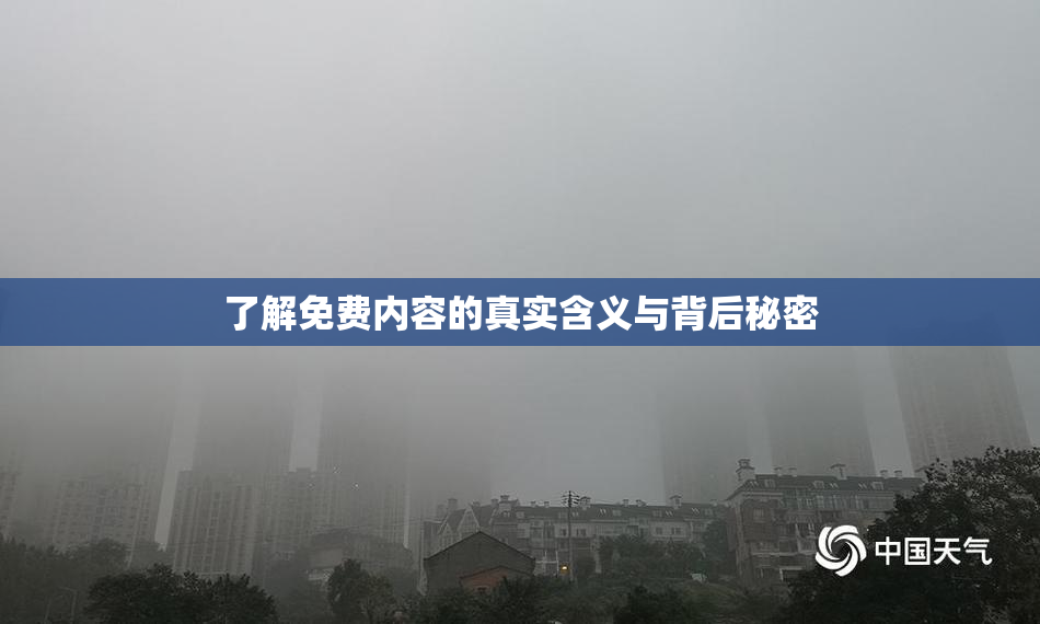 了解免费内容的真实含义与背后秘密