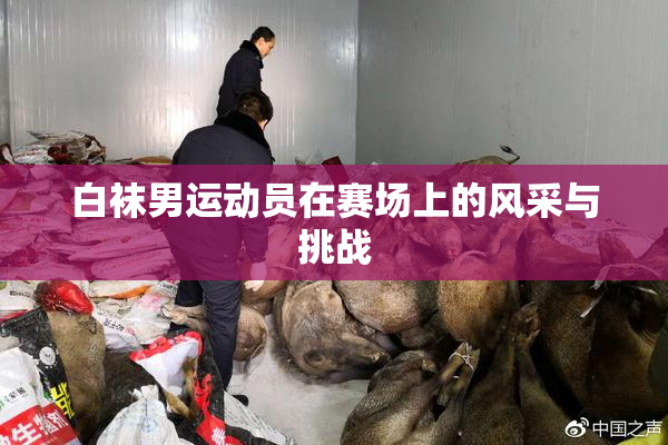 白袜男运动员在赛场上的风采与挑战