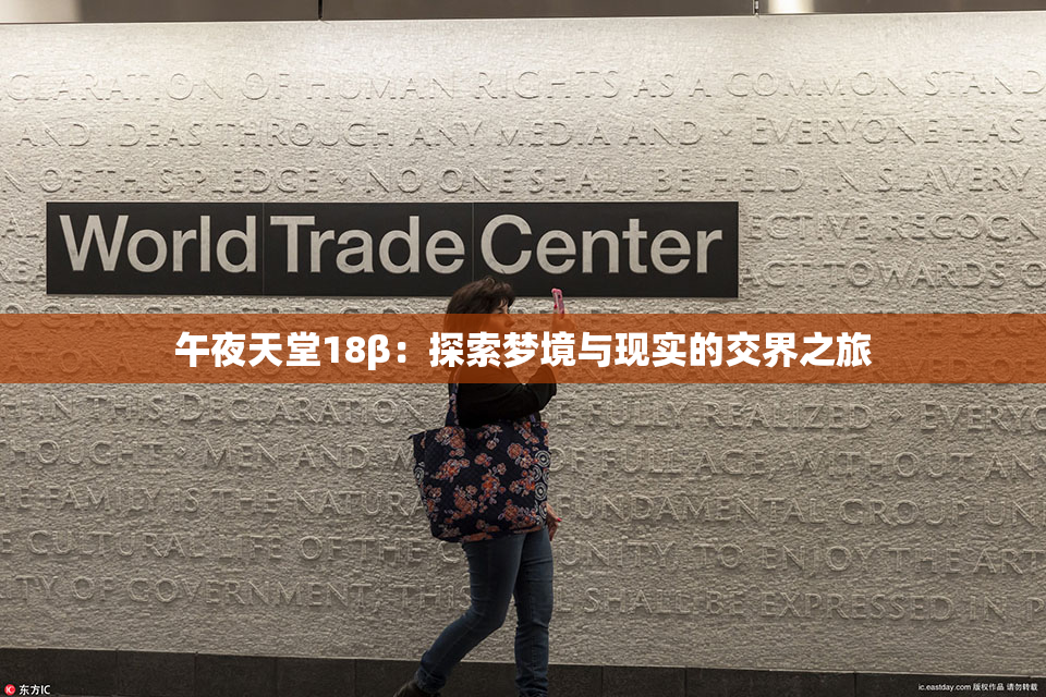午夜天堂18β：探索梦境与现实的交界之旅
