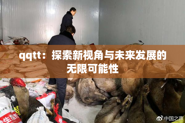qqtt：探索新视角与未来发展的无限可能性