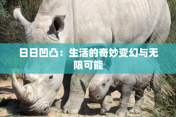 日日凹凸：生活的奇妙变幻与无限可能