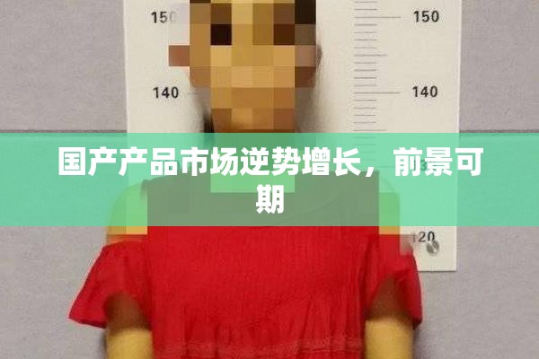 国产产品市场逆势增长，前景可期