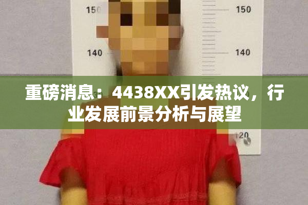 重磅消息：4438XX引发热议，行业发展前景分析与展望