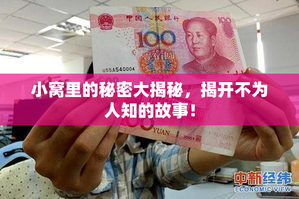 小窝里的秘密大揭秘，揭开不为人知的故事！