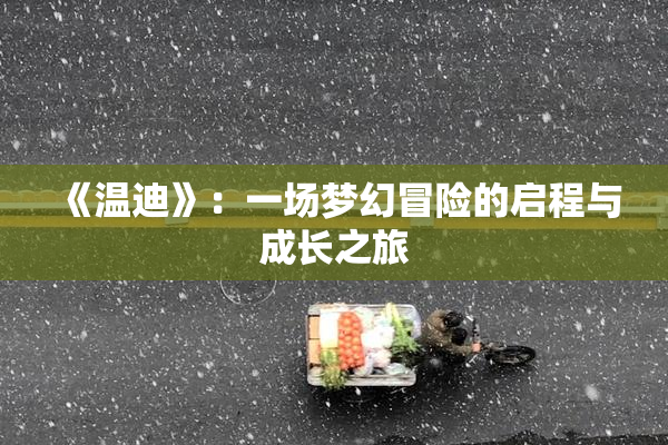 《温迪》：一场梦幻冒险的启程与成长之旅