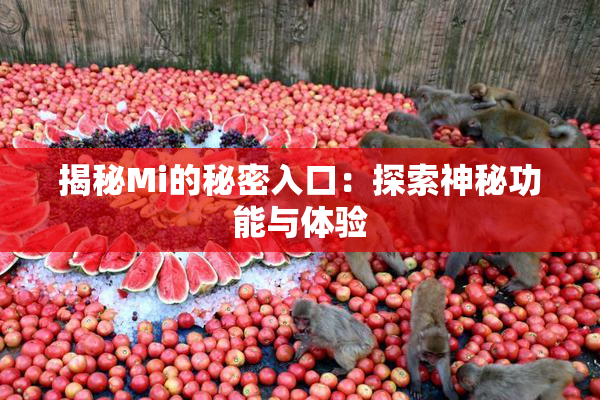 揭秘Mi的秘密入口：探索神秘功能与体验