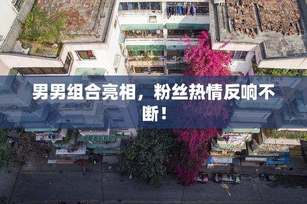 男男组合亮相，粉丝热情反响不断！