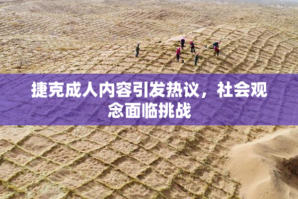 捷克成人内容引发热议，社会观念面临挑战