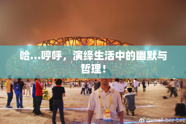 哈…哼呼，演绎生活中的幽默与哲理！