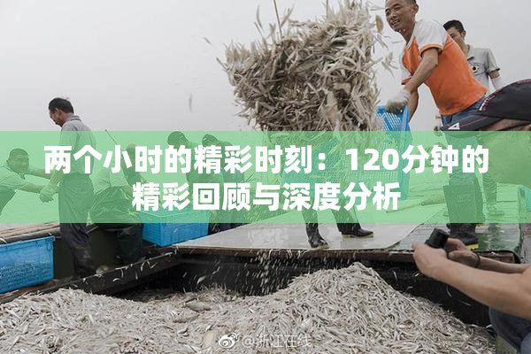 两个小时的精彩时刻：120分钟的精彩回顾与深度分析