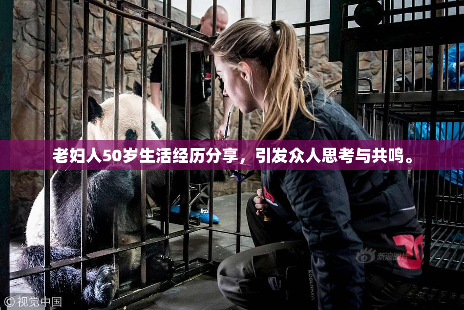 老妇人50岁生活经历分享，引发众人思考与共鸣。