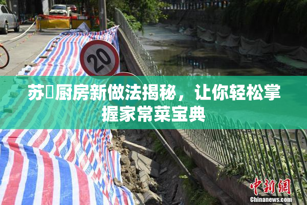 苏玥厨房新做法揭秘，让你轻松掌握家常菜宝典