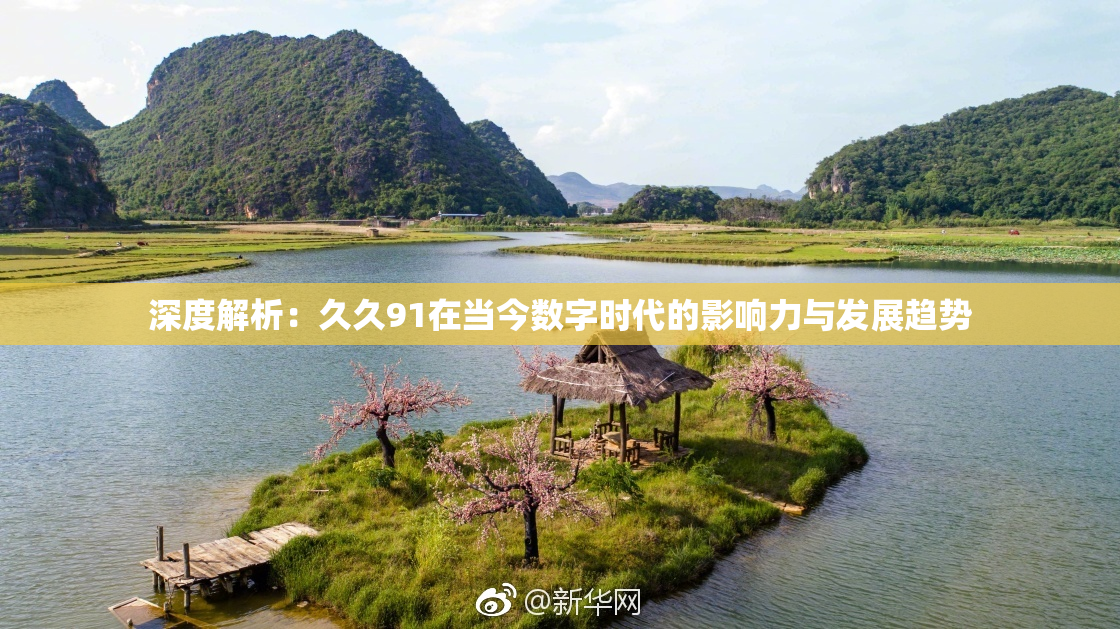 深度解析：久久91在当今数字时代的影响力与发展趋势
