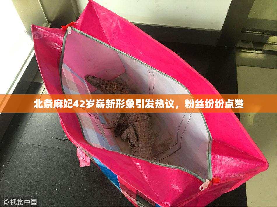 北条麻妃42岁崭新形象引发热议，粉丝纷纷点赞