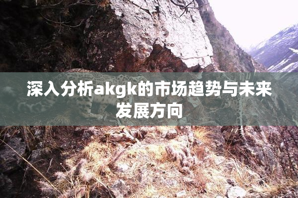 深入分析akgk的市场趋势与未来发展方向
