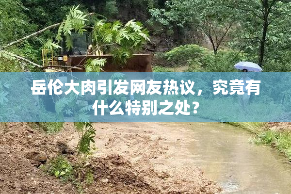 岳伦大肉引发网友热议，究竟有什么特别之处？
